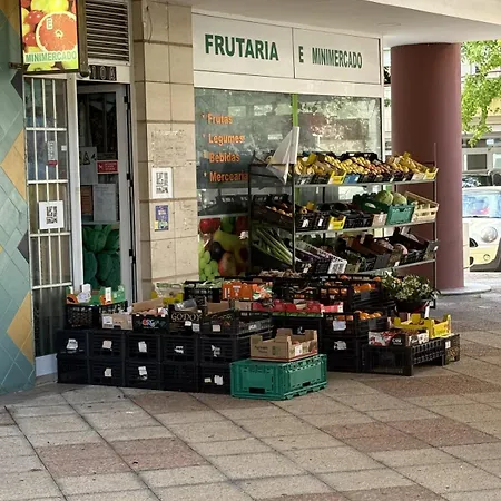 3br Family-sized Flat In Lumiar Apartament Lizbona